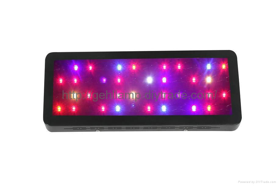 Super Quality And High Lumens 3W LED Grow Light For Growing Plants 4