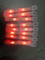 Radio Controlled LED Lighting Wristband Bracelet for Concert 1