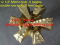 8 3/4'' Matrix Body GD1605 Diamond PDC bit 2