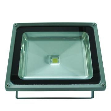 50W LED FLood Light