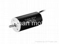 EC2040 SLOTLESS BRUSHLESS DC MOTOR 1