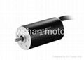 EC2453 SLOTLESS BRUSHLESS DC MOTOR 1