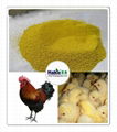 Poultry Specialized Multi- enzyme 1