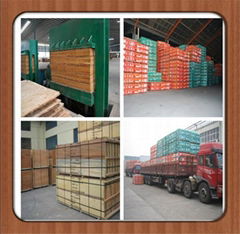 Linyi zhengda wood Co.,Ltd