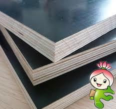 Film Faced Plywood For Construction ( Funiture Plywood) 5