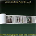 Printed Thermal Paper Rolls 1