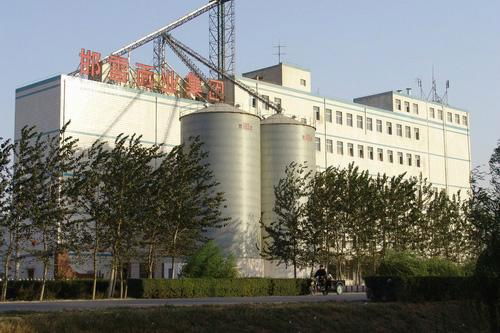 1000 Tons grain storage steel silo for sale 4