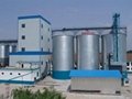 5000Tons grain storage steel silo for
