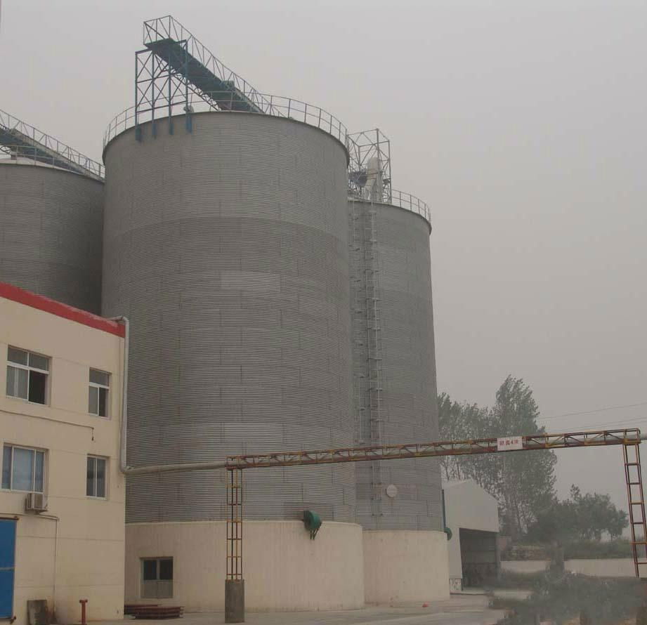 10000 Tons grain storage steel silo for farn strorage rice