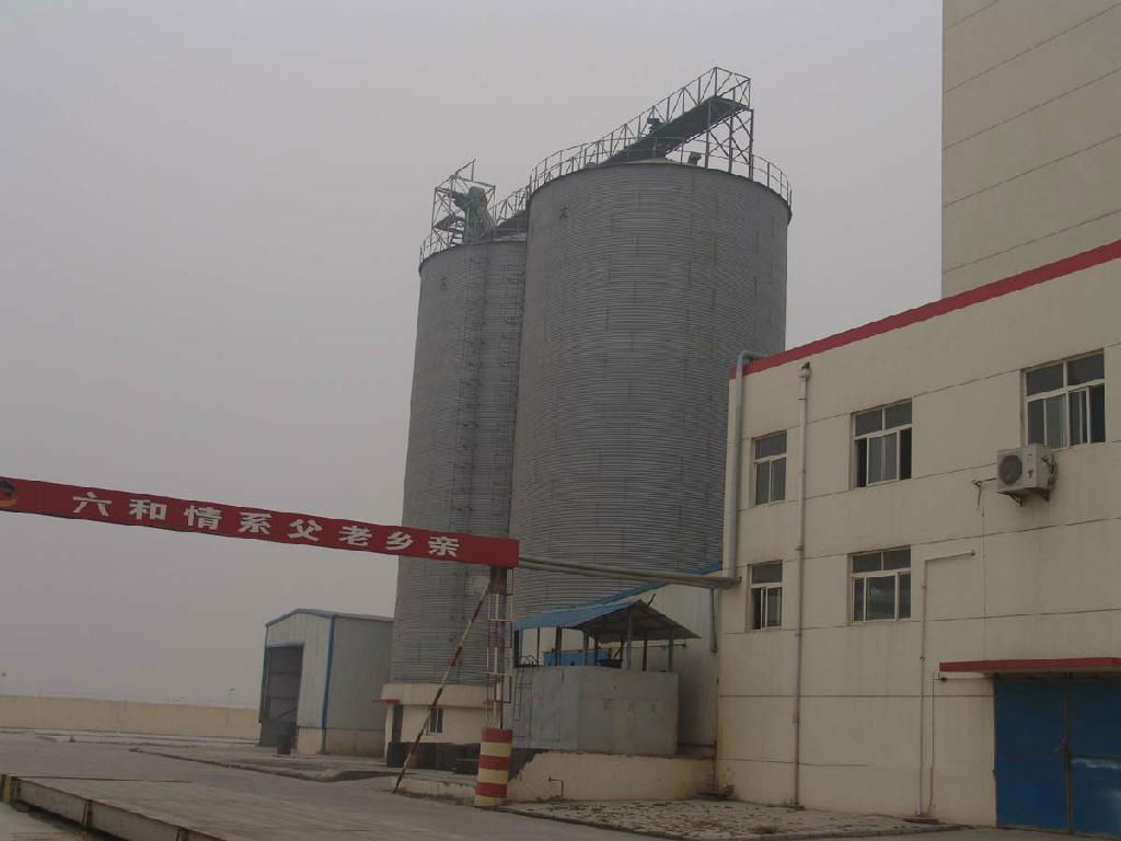 10000 Tons grain storage steel silo for farn strorage rice 2