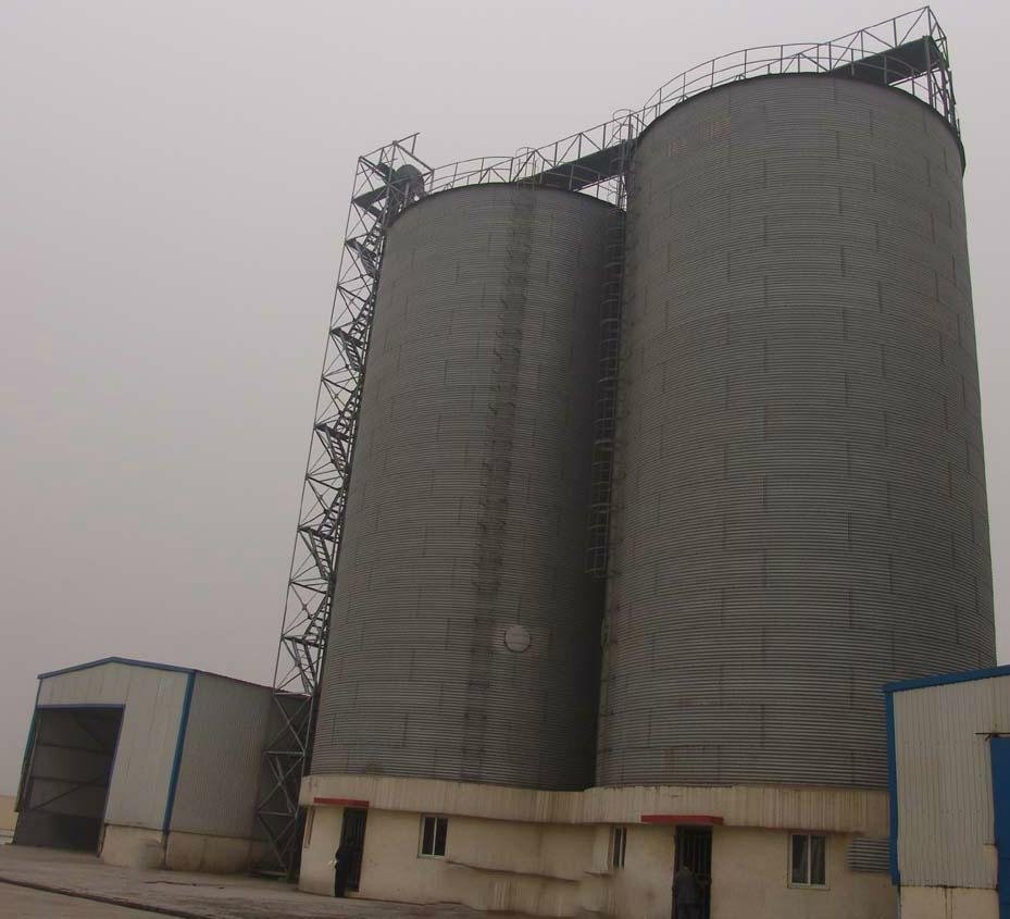 10000 Tons grain storage steel silo for farn strorage rice 3
