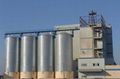 8000 Tons grain storage steel silo for farm storage  rice