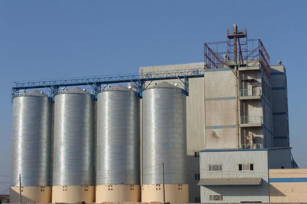 8000 Tons grain storage steel silo for farm storage  rice