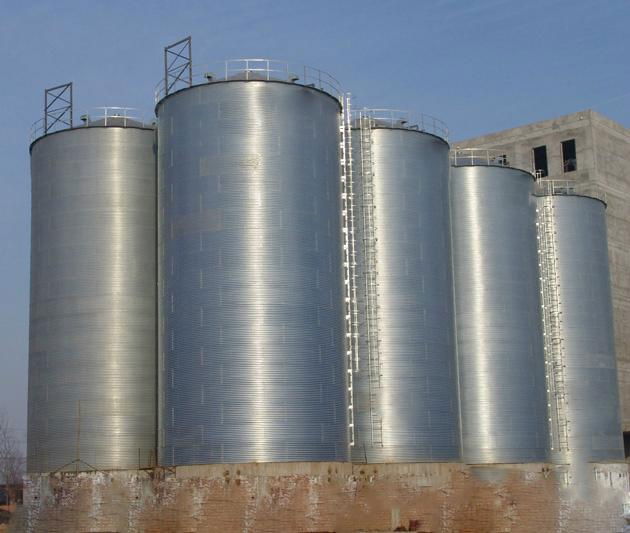 8000 Tons grain storage steel silo for farm storage  rice 2