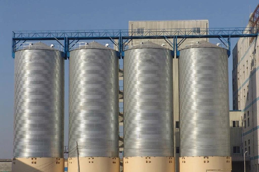 8000 Tons grain storage steel silo for farm storage  rice 3