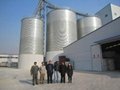 grain storage steel silo for sunflower distributor 2