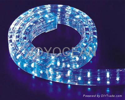 Decorative Lighting   LED rope light 3