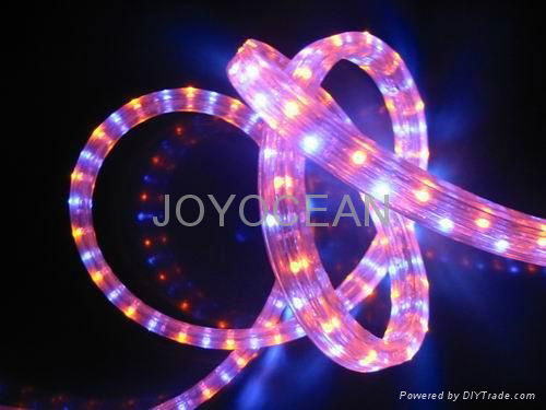 Decorative Lighting   LED rope light 4