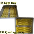 Best Selling Automatic egg incubators for chicken eggs 3