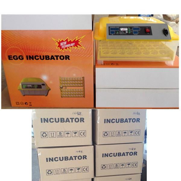 Best Selling Automatic egg incubators for chicken eggs 4