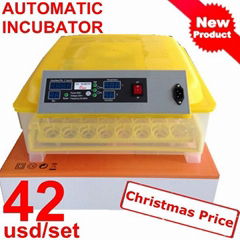 Best Selling Automatic egg incubators 48