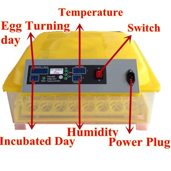 Best Selling Automatic egg incubators 48 eggs 2