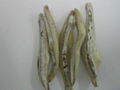 Dried anchovy  1