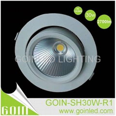 New design 30W LED Aluminum COB recessed down lights for Corridors/halls places 