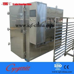 -190C  liquid nitrogen  freezer for tuna