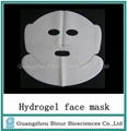 New skin care products hydrogel nourishing skin facical sheet 2014