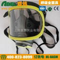 The single tank gas mask 2