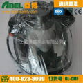 ABEL HL-CMF address mask 1