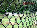 Chain Link Fence SKYHALL CLASSIC （210 SERIES） 3