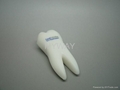 dentist gifts PVC tooth shape usb flash drive with logo printed 4