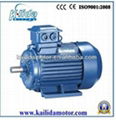 Y2 Iron Electric motor