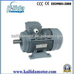  Y2 Iron Electric motor 3