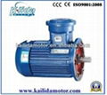 Explosion-Proof Three Phase Motor, YB3