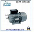 YY single phase electric motor 1