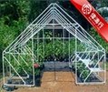 greenhouse 1