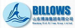 SHANDONG RICH BILLOWS GROUP LIMITED