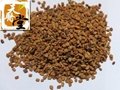 Common Fenugreek Seed Extract