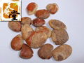 African Mango Seed Extract