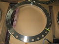 stainless steel flange 2