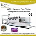 MJZX-1 High speed Flexo Printing,