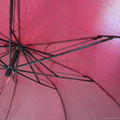 2 Section Promotion Umbrella 2