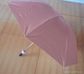 3 Section Wine Bottle Umbrella for Gifts 4