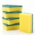 Sponge pads