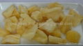 Apple Dried Fruit preserves food snack Thailand manufacturing Name all fruit 1