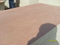 AA grade construction plywood 2