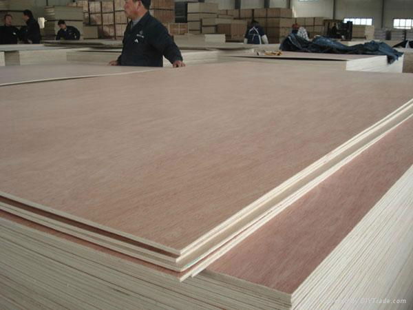 AA grade construction plywood 3